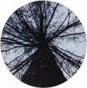 tree_circle